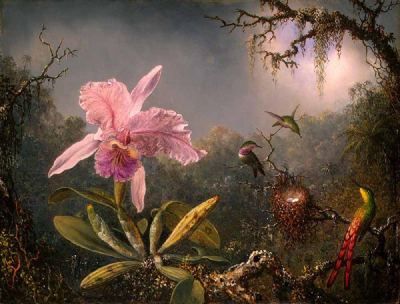 Martin Johnson Heade Cattleya Orchid and Three Hummingbirds Germany oil painting art